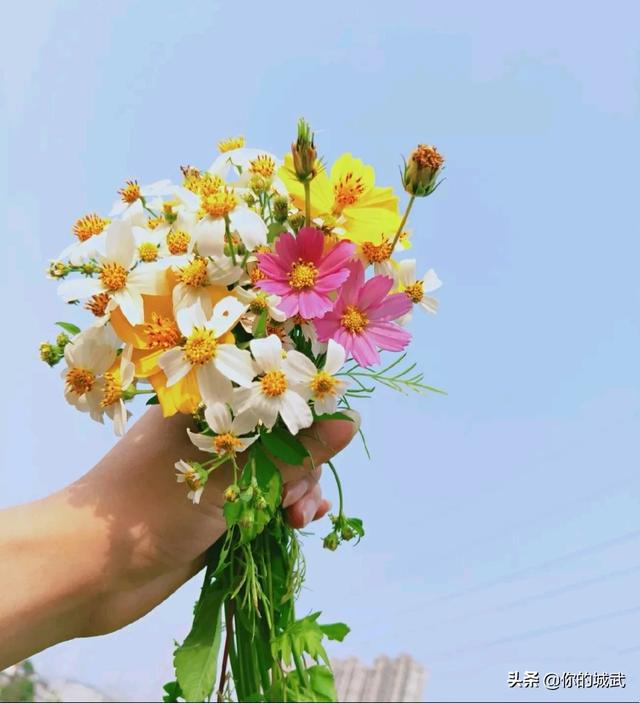 厦门市海沧有什么好玩的