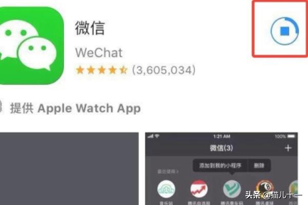 app开发苹果
