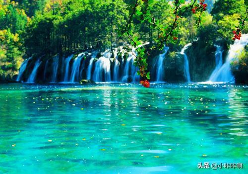 四川九寨沟资料(九寨沟湖泊的资料？)