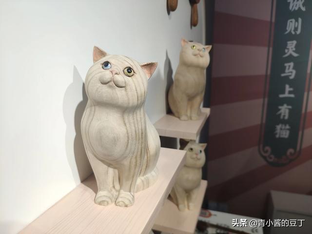 准备去接领养的猫咪，需要带些什么呢,第11张