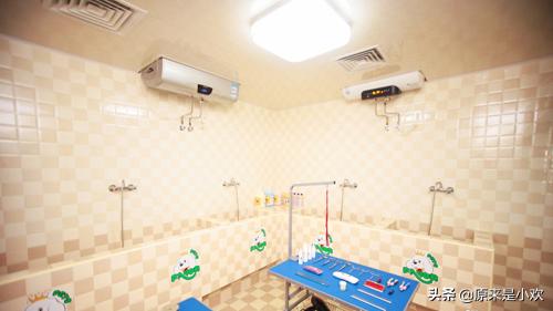 宠物店的经营范围有哪些,第4张