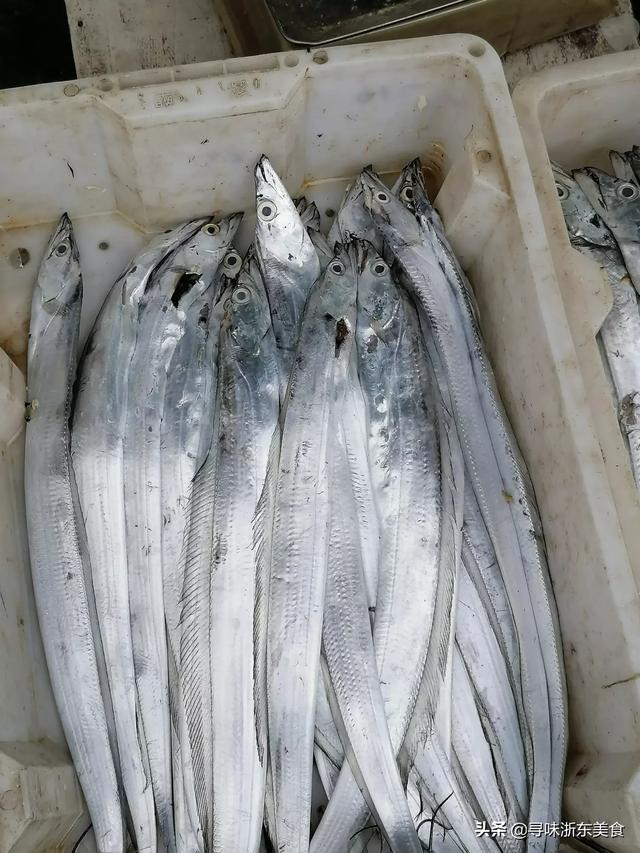 热带鱼要怎么吃才好吃(图15)