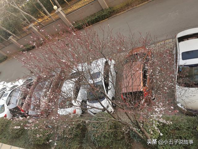 奥拓二手车评估，奥拓二手车评估价格