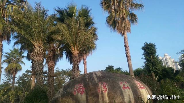 春节去南方哪里旅游比较好,春节去南方哪里旅游比较好便宜又好玩