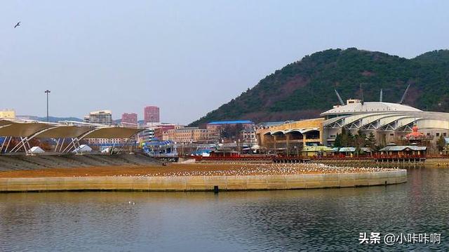 大连市老虎滩是哪个区
