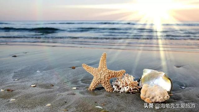 海边旅游穿搭春夏， 海边旅游穿搭春夏秋冬图片