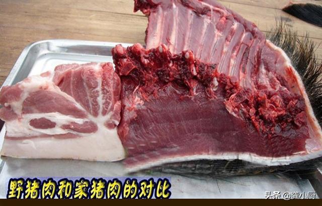 高什么骨头(什么骨头做高汤最香)