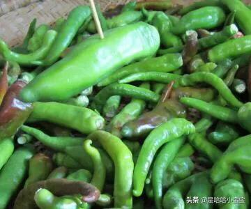 青椒做法普通菜有哪些菜