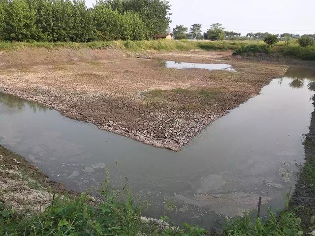 城市湖泊水质怎么改善(图1)
