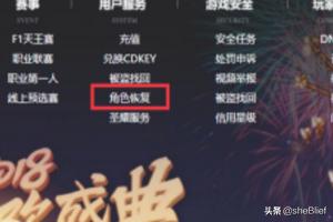 dnf官网角色恢复是什么职业改的