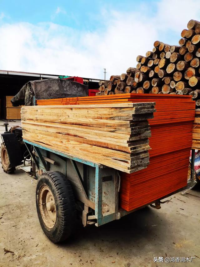 木材种类名称大全（木材种类介绍）