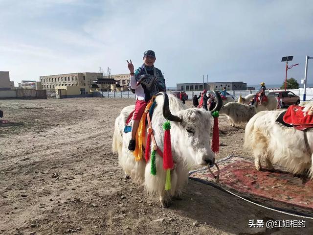 拉萨必去三个景点有哪些(图5)