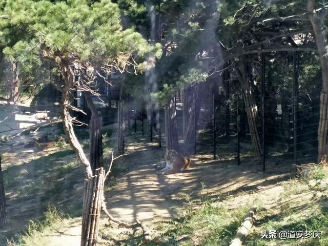 东兰飞海外生活，东兰飞海外生活馆是正品吗