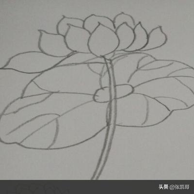 油画花卉绘画步骤?油画花卉绘画步骤图!