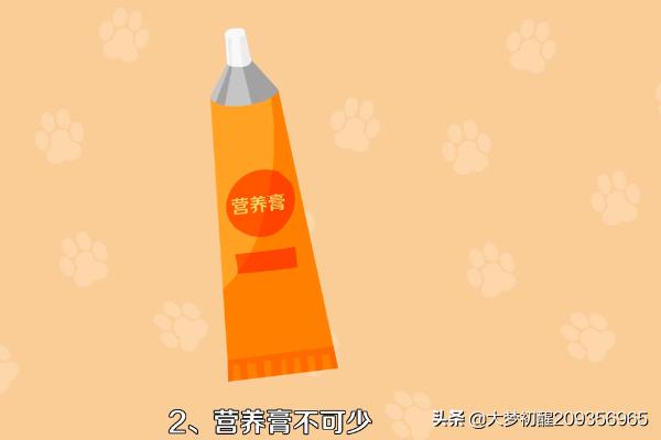 刚出生的小猫吃什么