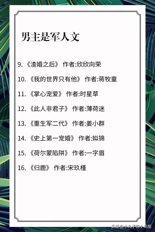 哪位好心人能推荐几本男主是军人或警察的言情小说