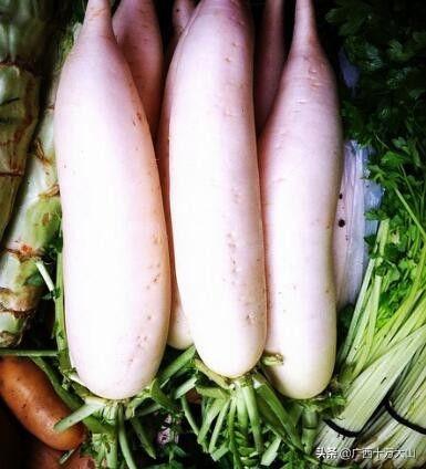 我的世界0.12.1种子大全城市 我的世界0.12.1种子-第3张图片-随然AIR主题