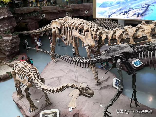 合肥什么地方最适合带小孩玩？