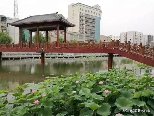 河南作为人口大省，十七个地级市中哪个城市最适合居住和生活？