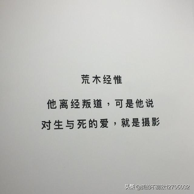 贫穷的我只剩美貌[快穿]_我贫穷的只有美貌