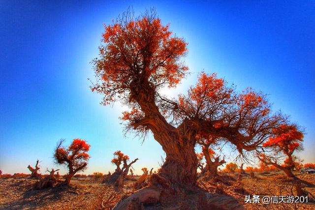 国内旅游线路都有哪些,国内旅游线路都有哪些地方