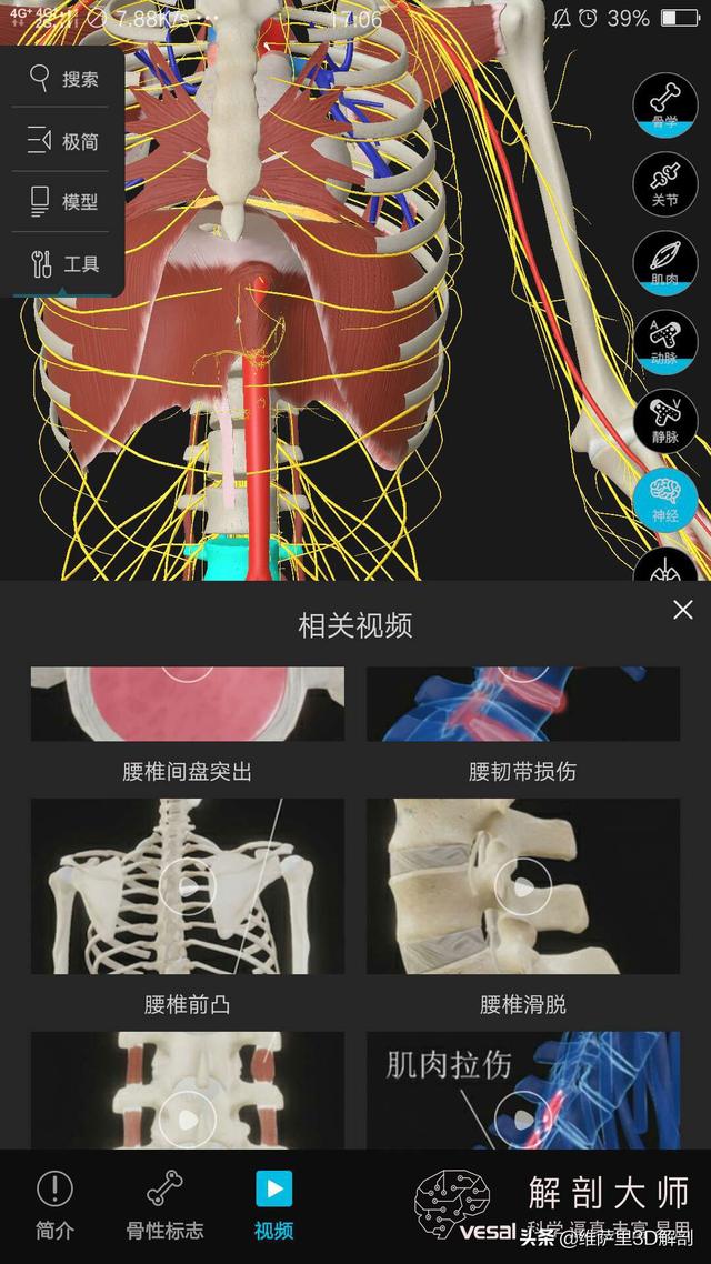 腰椎间盘l5s1突出症状_腰椎盘突出l5s1突出是什么症状