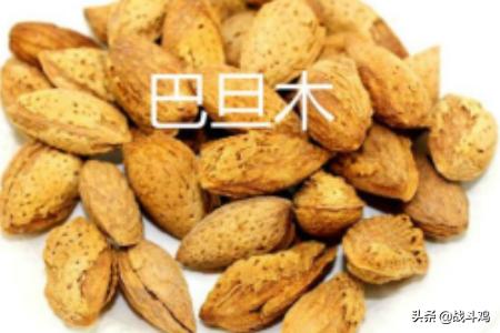 巴旦木和杏仁的区别 杏仁和巴旦木的图片区分