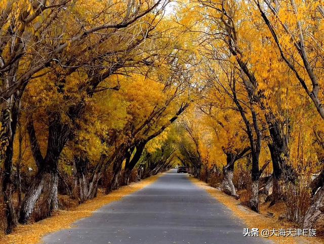 旅行保险哪个好，出国旅行保险哪个好