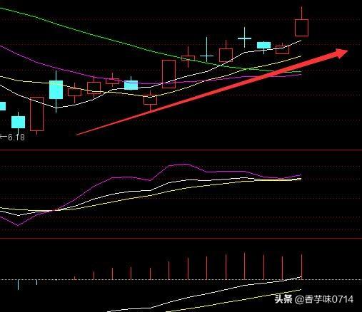 大单压盘 股价不跌[大单压盘股价不跌]