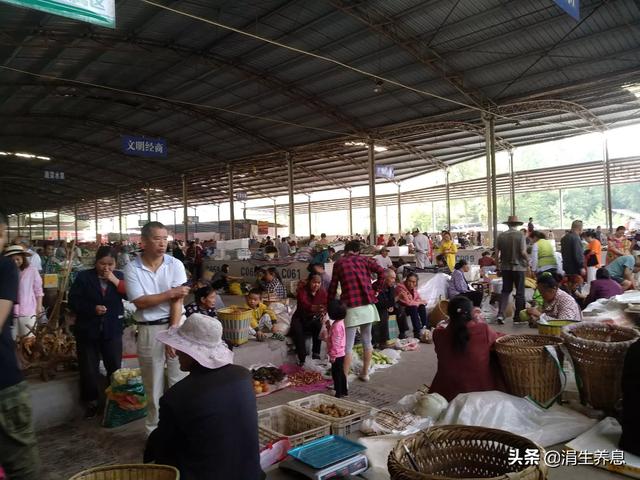 重庆暑天旅游攻略路线， 重庆暑天旅游攻略路线图