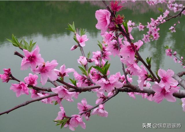 赞美小丫头可爱的诗词（夸奖小女孩漂亮灵气）