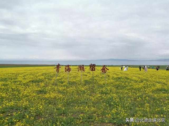 年假了去哪旅游