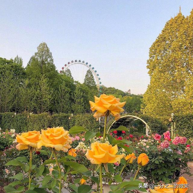 [2万多游客滞留5万人小县倾城接待]兰州降雪对春运返程的人们造成了哪些影响？