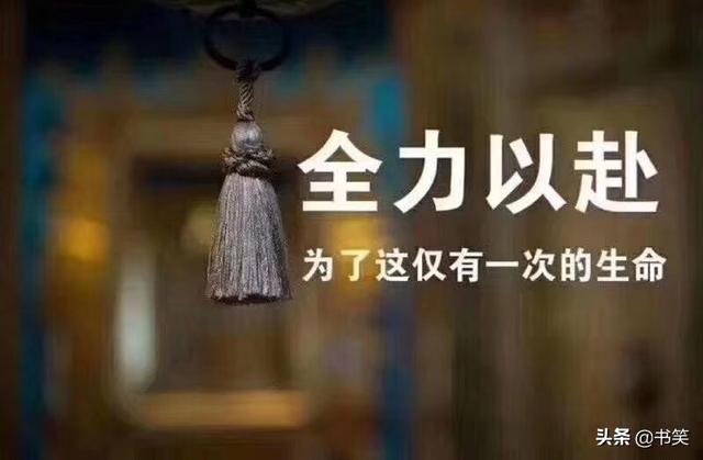 新手想炒股票怎么学