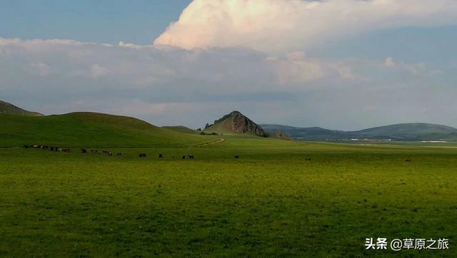 榆林市靖边县纸飞机账号购买服务