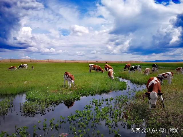 北京内蒙古宾馆-北京内蒙古宾馆电话