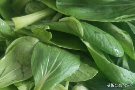 熟牛肉怎么做好吃(图4)