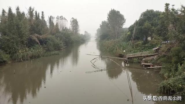 绿化养护都需要什么设备-绿化养护都需要什么设备呢