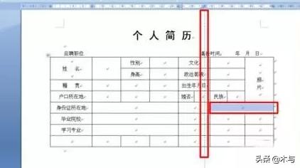 个人简历空表格下载-个人简历表格空白表电子版