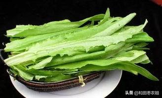 高山菜做法家常做法大全(图30)