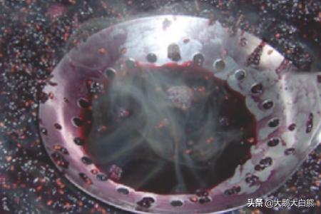 桑果榨汁有什么功效(图3)