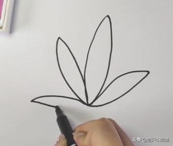 花卉树木手绘简笔画 花草图片,花卉树木手绘简笔画 花草图片大全