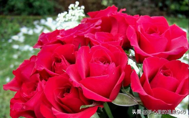 女人过生日送什么礼物好呢（女人过生日一般送什么礼物好）(图1)