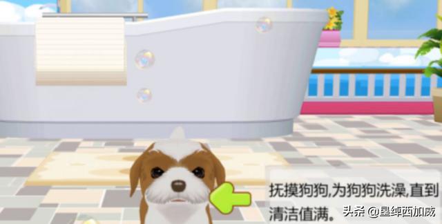 心动小狗结婚攻略 心动小狗结婚攻略免费阅读  第5张
