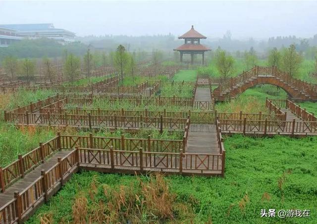 厦门市哪个公园好
