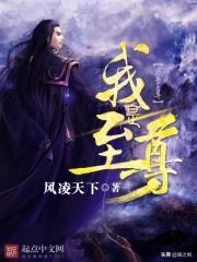 我是至尊好看吗（我是至尊写的怎么样）