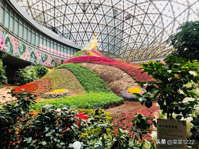昆明花之城旅游路线攻略， 昆明花之城旅游路线攻略图