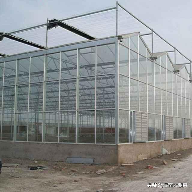 花卉大棚设计效果图 花卉大棚怎么建？