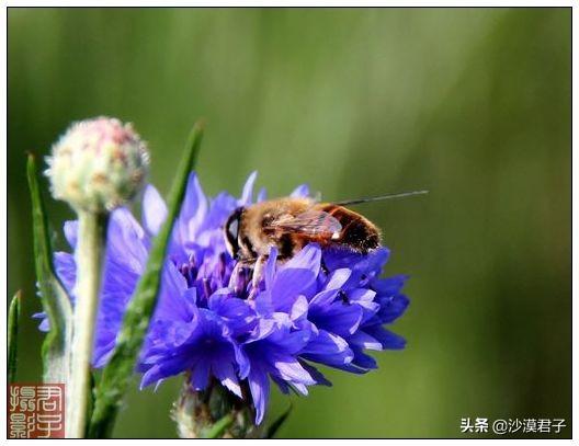 表示飘荡不定无所依靠的句子_无人依靠的诗句