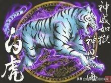 木星十二宫的人,木星落12宫